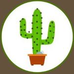 Kaktus Company